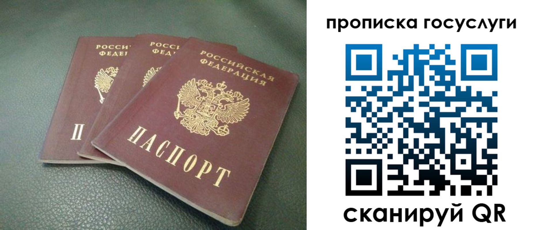 временная регистрация госуслуги в Элисте
